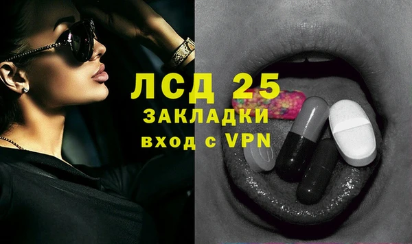 ГАЛЛЮЦИНОГЕННЫЕ ГРИБЫ Архангельск
